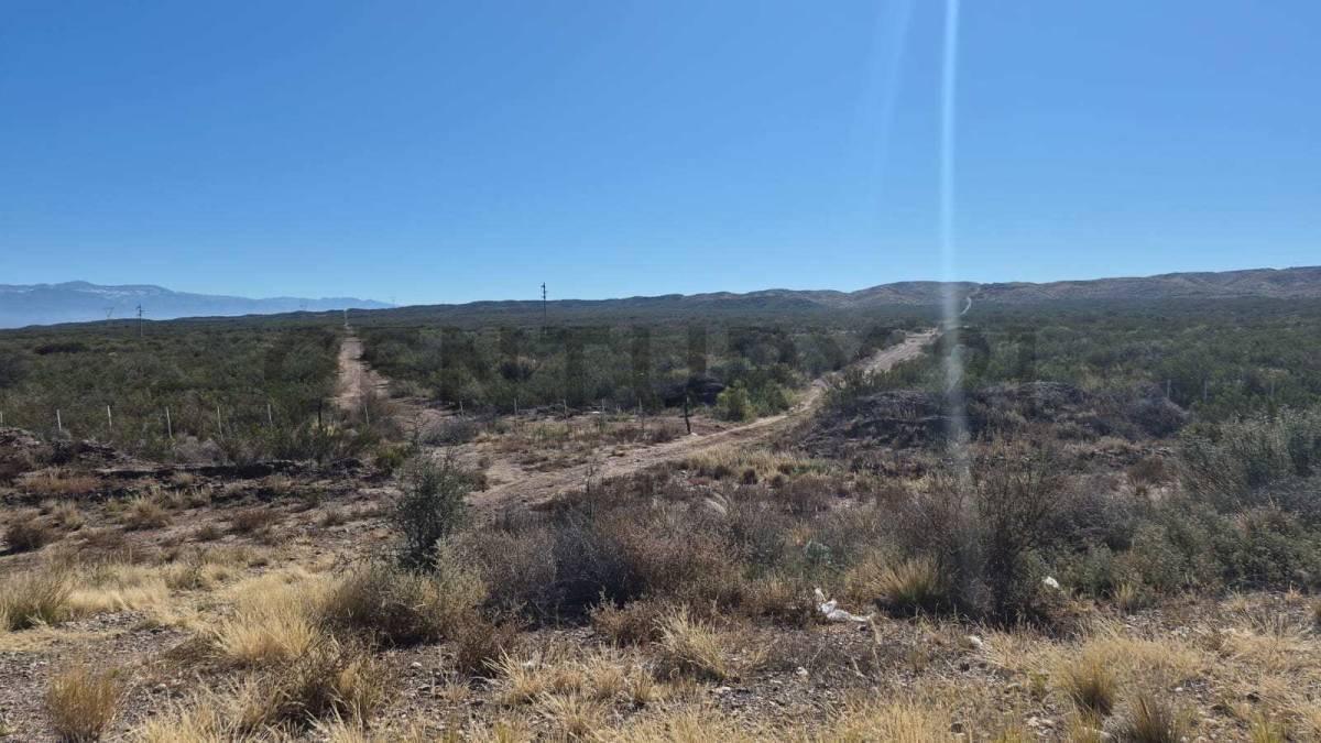 Foto de VENTA TERRENO RUTA NACIONAL 7 VARIANTE PALMIRA (LUJAN DE CUYO)., imagen 4