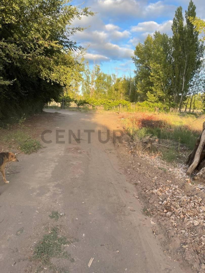 Foto de FINCA EN VENTA, IDEAL PARA LOTEO, imagen 3