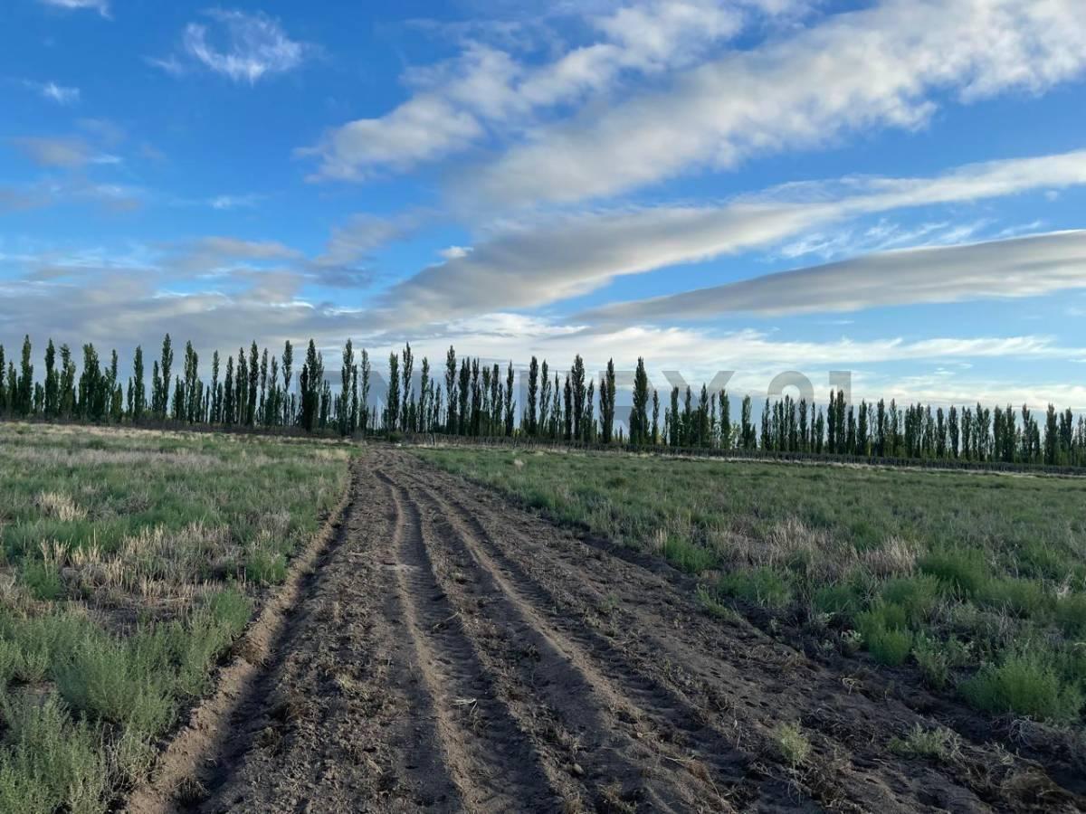 Foto de FINCA EN VENTA, IDEAL PARA LOTEO, imagen 2