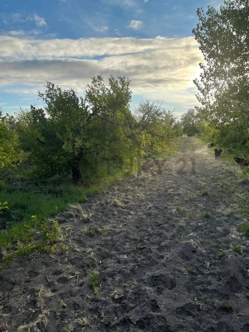 Foto de FINCA EN VENTA, IDEAL PARA LOTEO, imagen 4