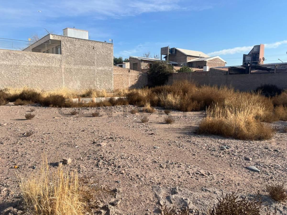 Foto de LOTE A — 300 m² | Villa Nueva, Guaymallén, imagen 5