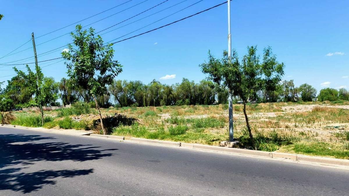 Foto de Venta de Terreno equina en el centro de Rodeo de la Cruz, imagen 5