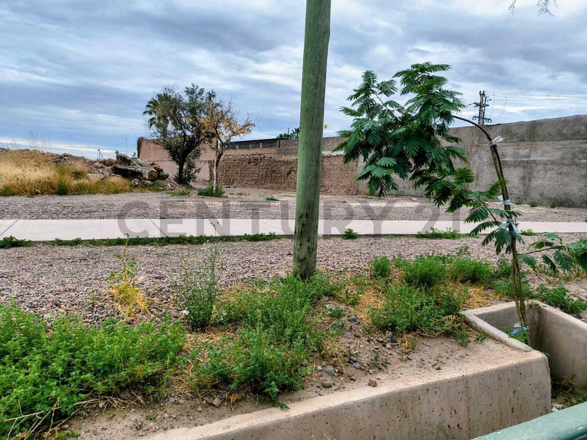 Foto de Venta de Terreno equina en el centro de Rodeo de la Cruz, imagen 4