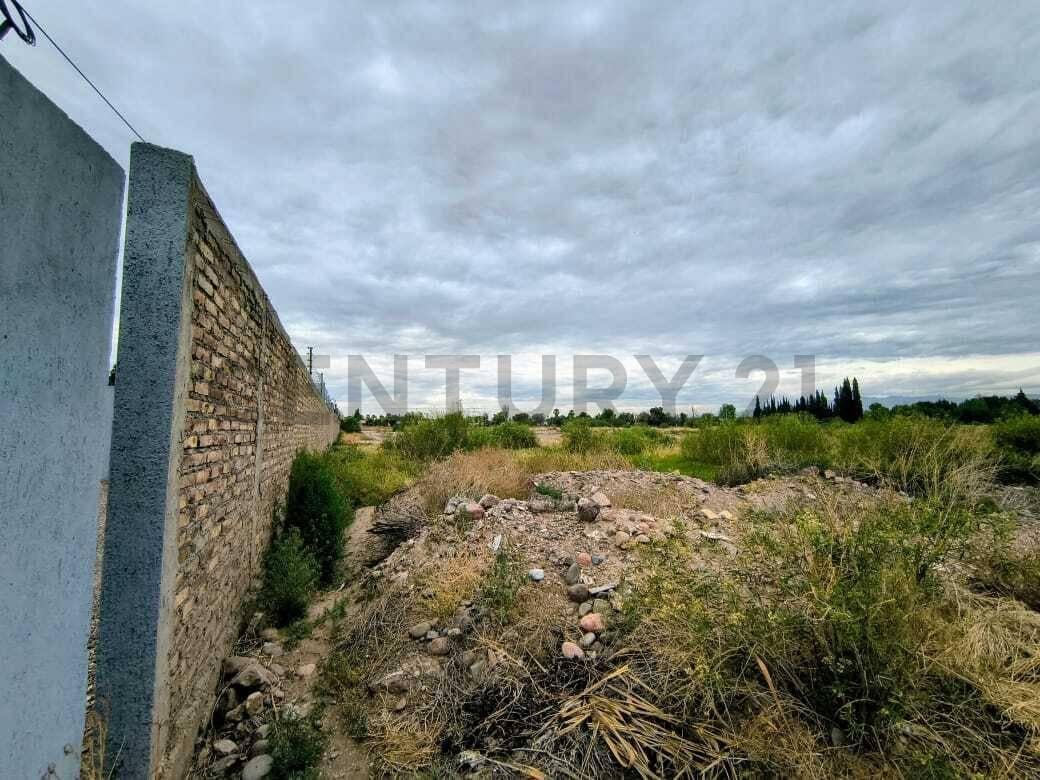 Foto de Venta de Terreno en Rodeo de la Cruz., imagen 1