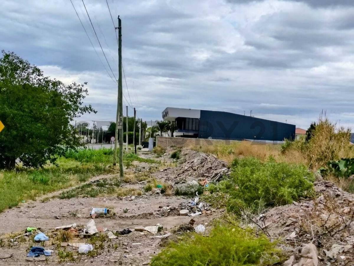 Foto de Venta de Terreno en Rodeo de la Cruz., imagen 2