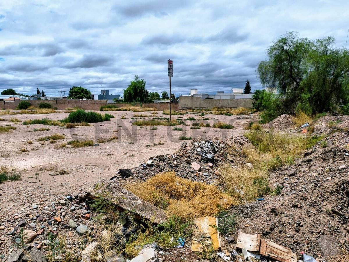 Foto de Venta de Terreno en Rodeo de la Cruz., imagen 4