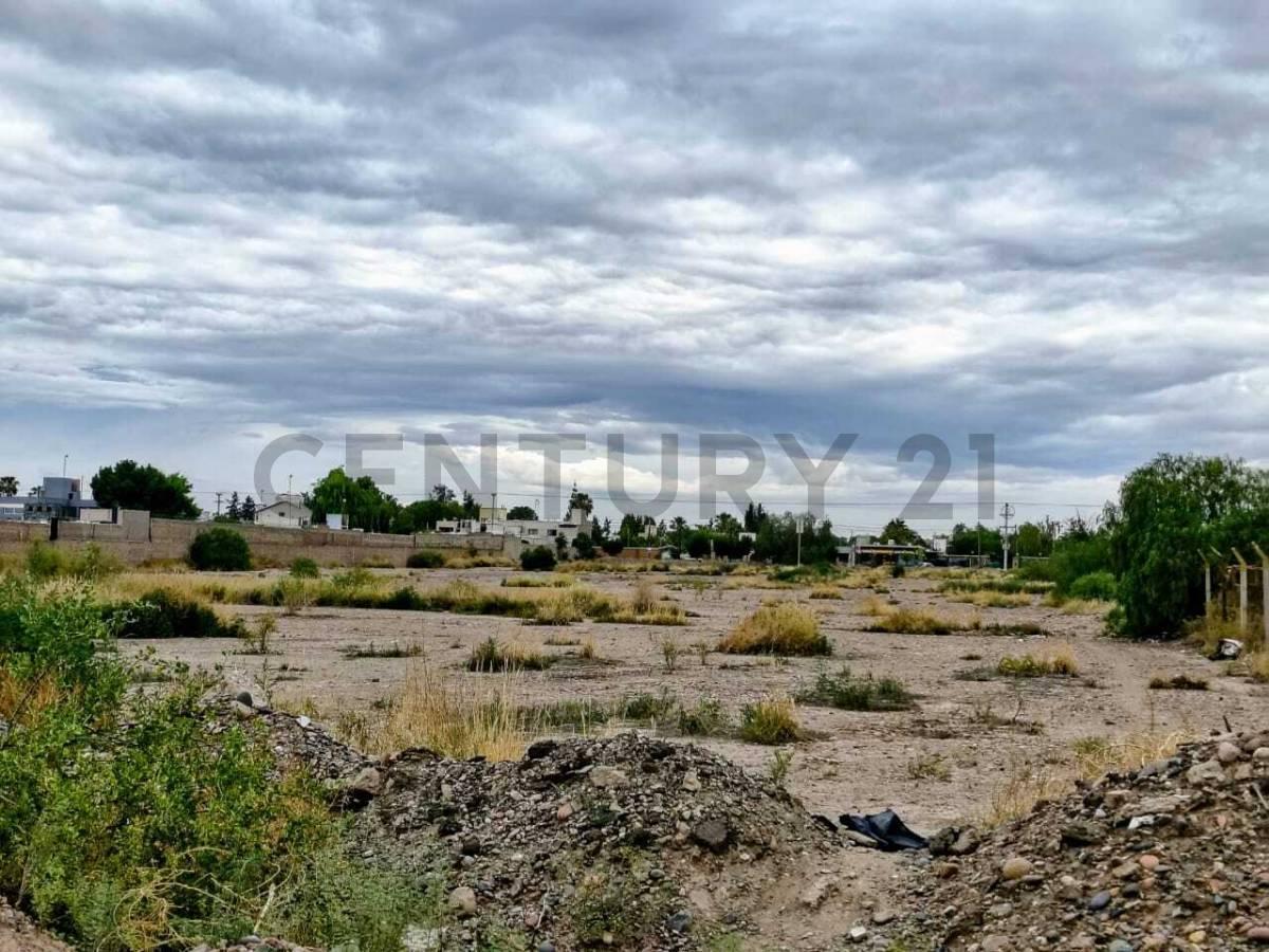 Foto de Venta de Terreno en Rodeo de la Cruz., imagen 5