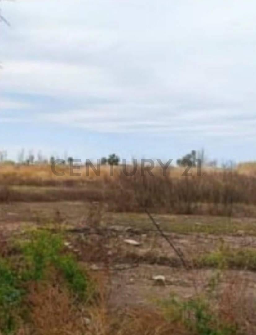 Foto de VENTA DE LOTE, imagen 3