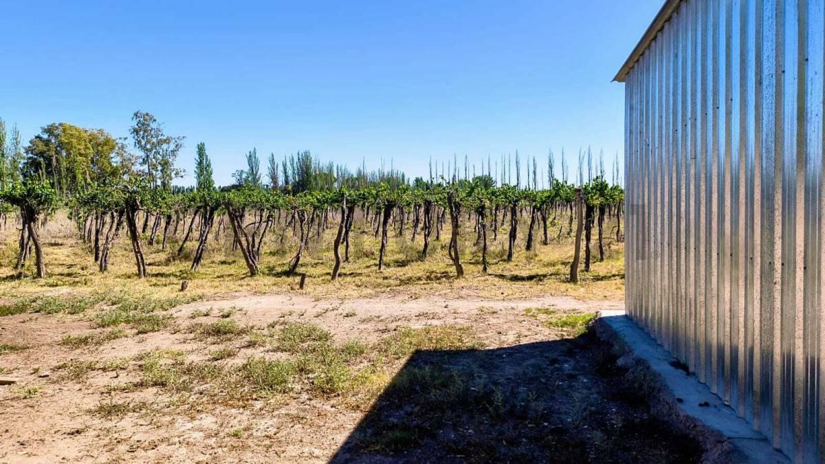 Foto de Venta de Finca en zona Este, imagen 3