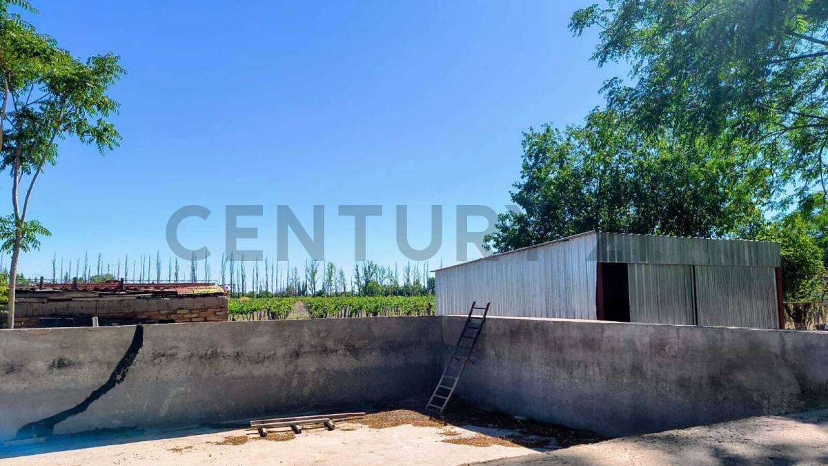 Foto de Venta de Finca en zona Este, imagen 4