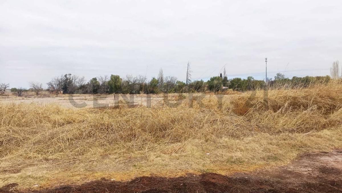 Foto de Venta de Terreno en Rodeo de la Cruz Guaymallén, imagen 5