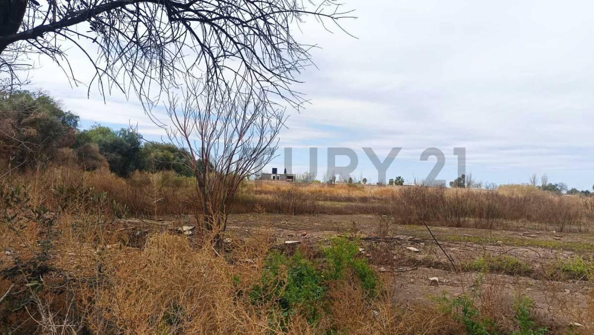 Foto de Venta de Terreno en Rodeo de la Cruz Guaymallén, imagen 2