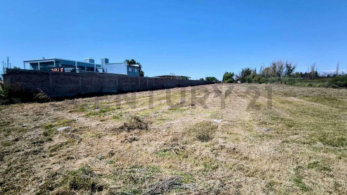 Foto de Venta de Terreno en Corralitos Guaymallén, imagen 2