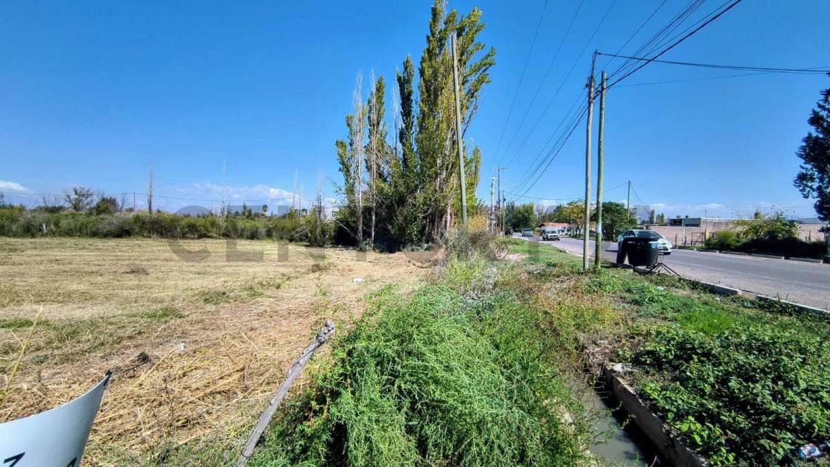 Foto de Venta de Terreno en Corralitos Guaymallén, imagen 5
