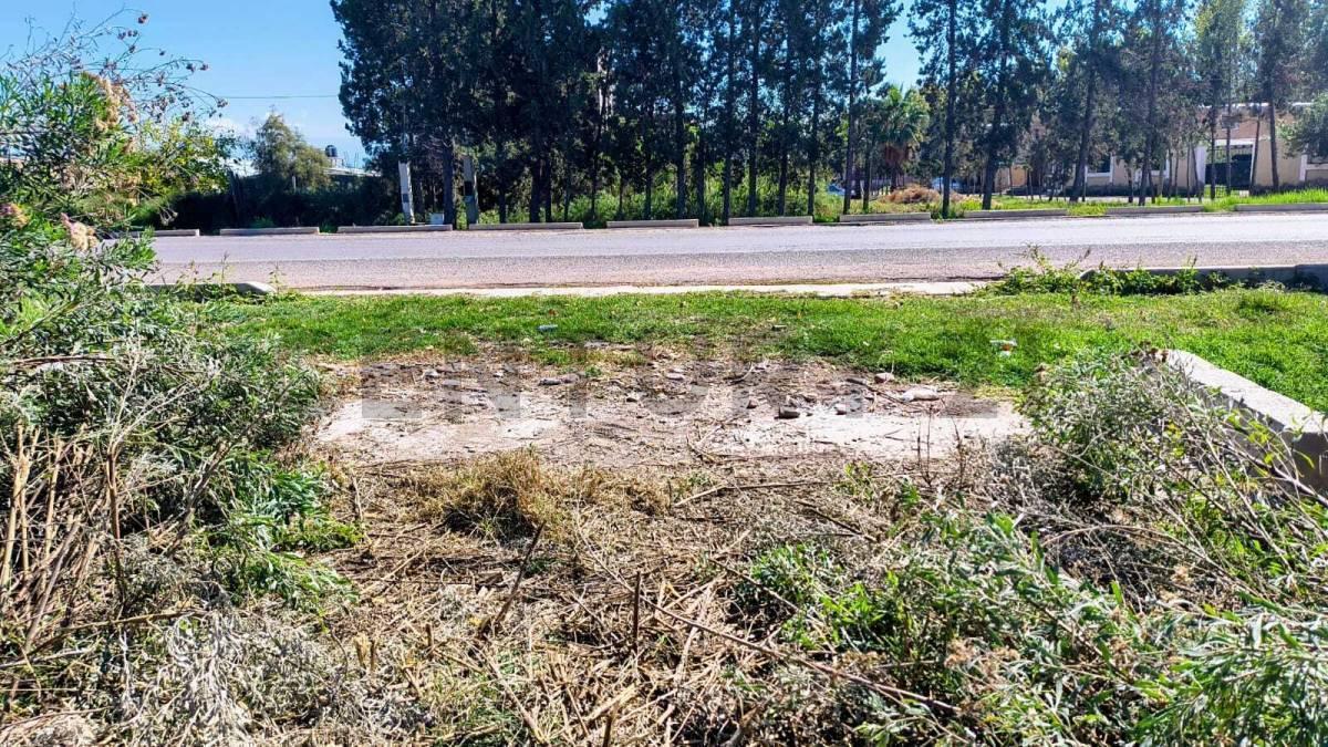 Foto de Venta de Terreno en Corralitos Guaymallén, imagen 4