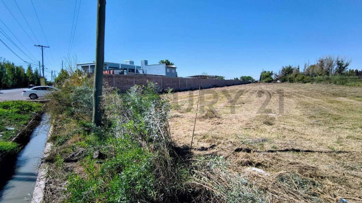 Foto de Venta de Terreno en Corralitos Guaymallén, imagen 3