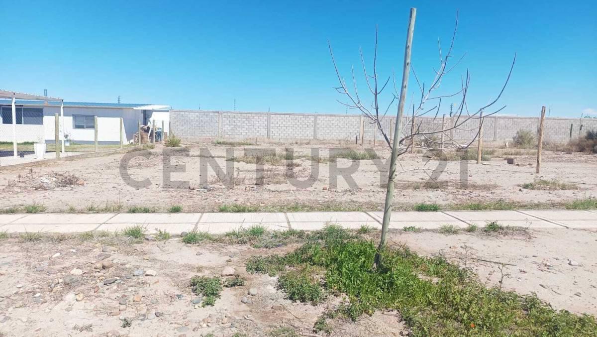 Foto de Venta de Lote en Rodeo del Medio, imagen 5