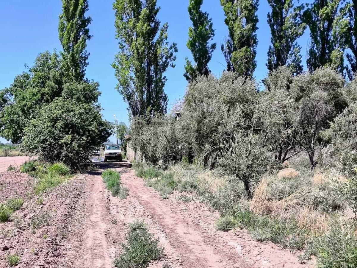 Venta de Finca en Chapanay Zona Este