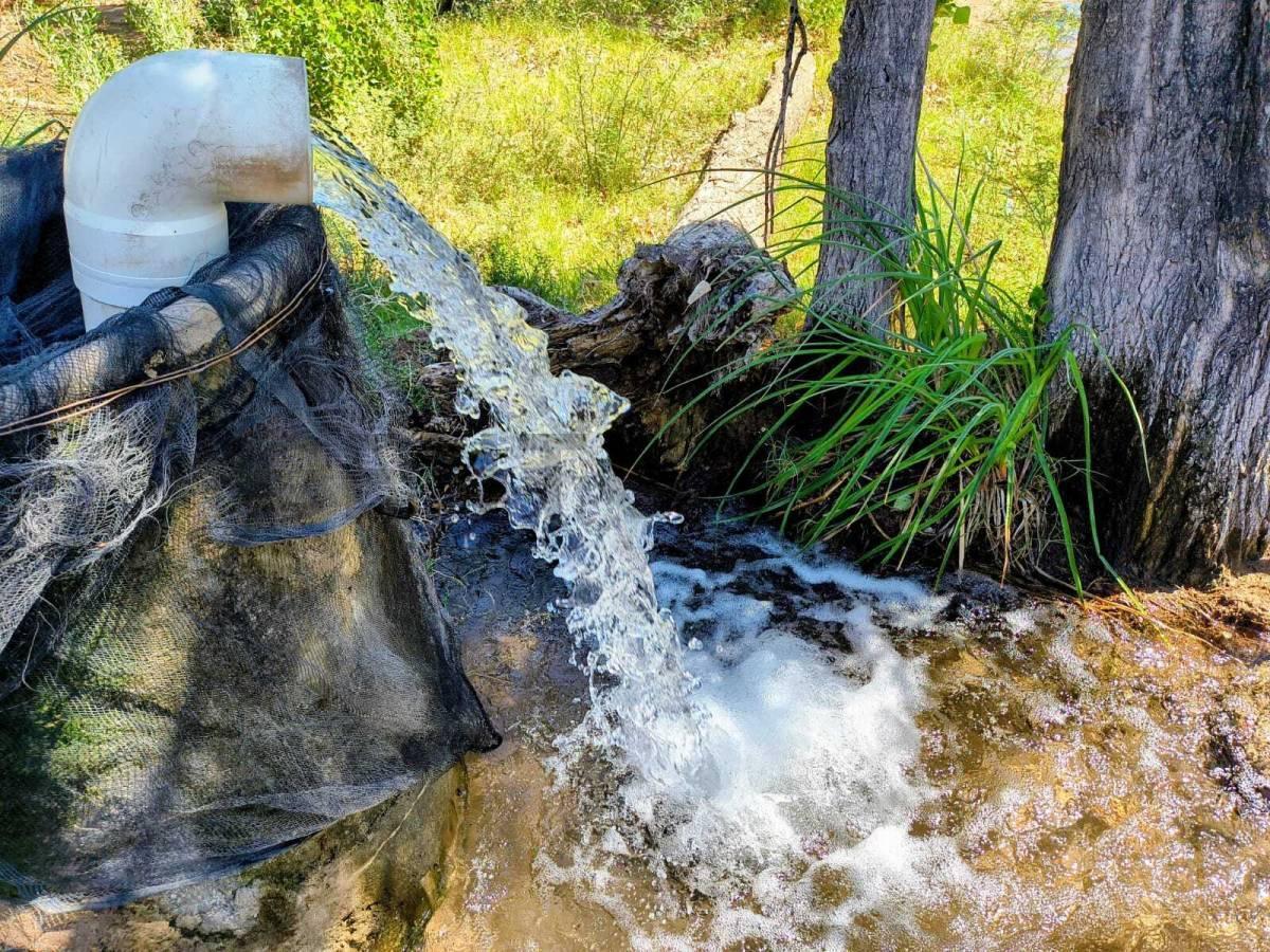 Foto de Venta de Finca en Chapanay Zona Este, imagen 3