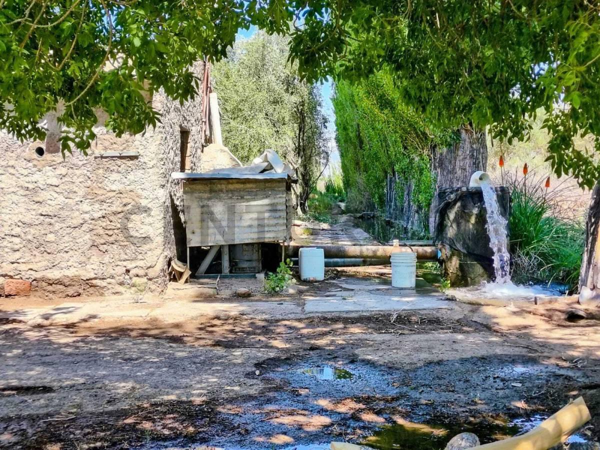 Foto de Venta de Finca en Chapanay Zona Este, imagen 5