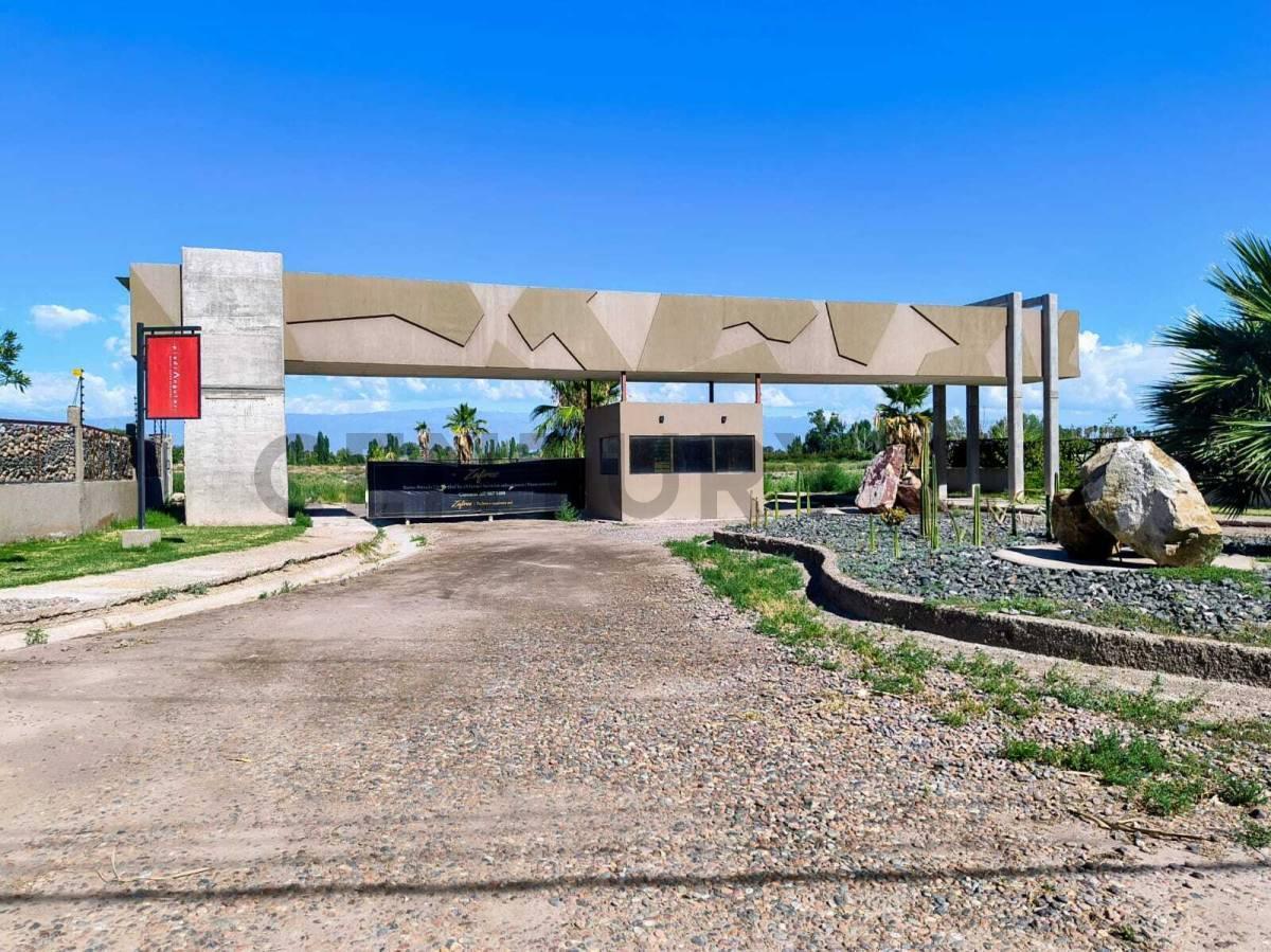 Foto de Venta de Lotes en Rodeo de la Cruz, imagen 2