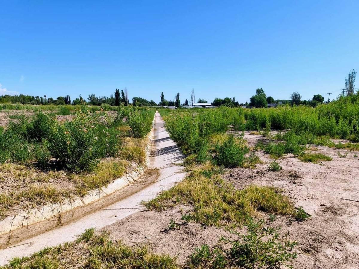 Foto de Venta de Lotes en Rodeo de la Cruz, imagen 5