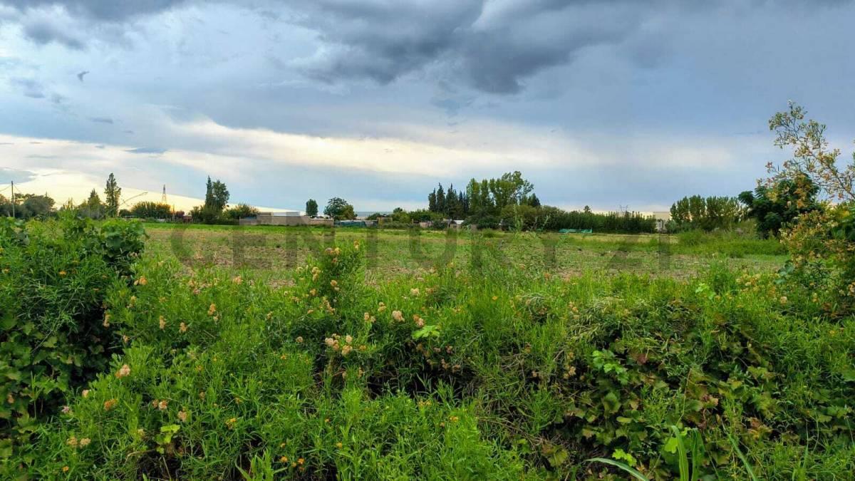 Foto de Venta de Terreno grande en Pueblo Nuevo Guaymallén, imagen 4