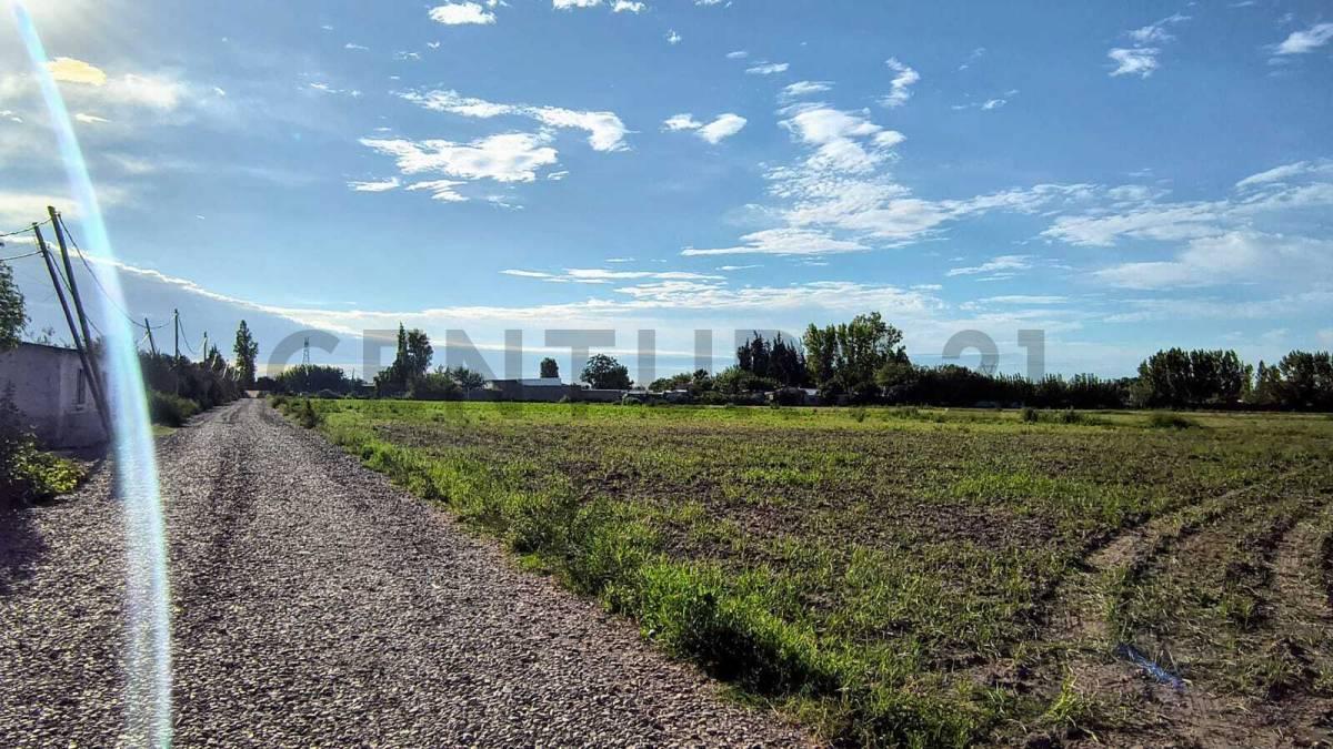 Foto de Venta de Terreno grande en Pueblo Nuevo Guaymallén, imagen 2