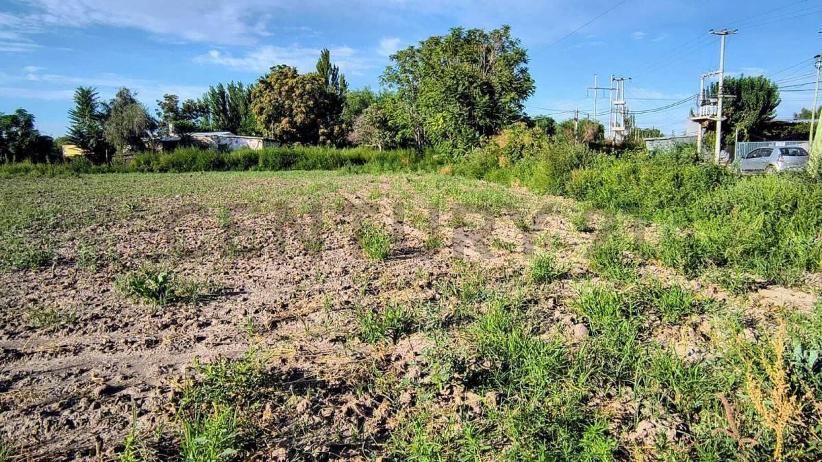 Foto de Venta de Terreno grande en Pueblo Nuevo Guaymallén, imagen 3