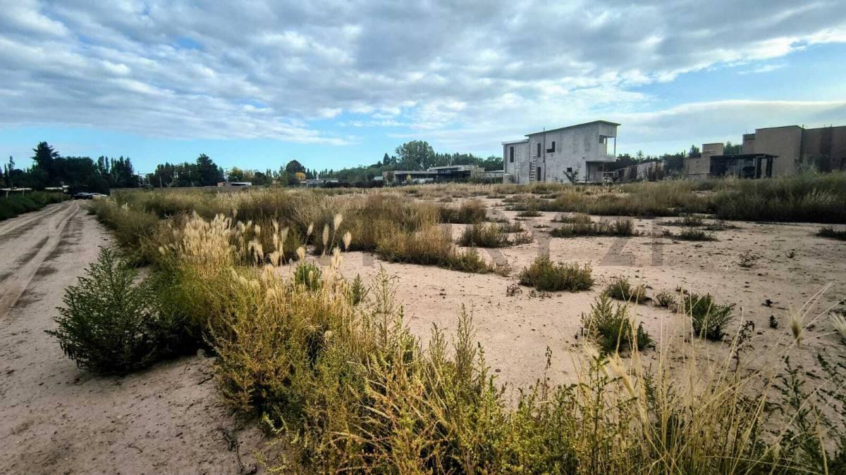 Foto de VENTA de TERRENO en Vistalba Luján, imagen 5