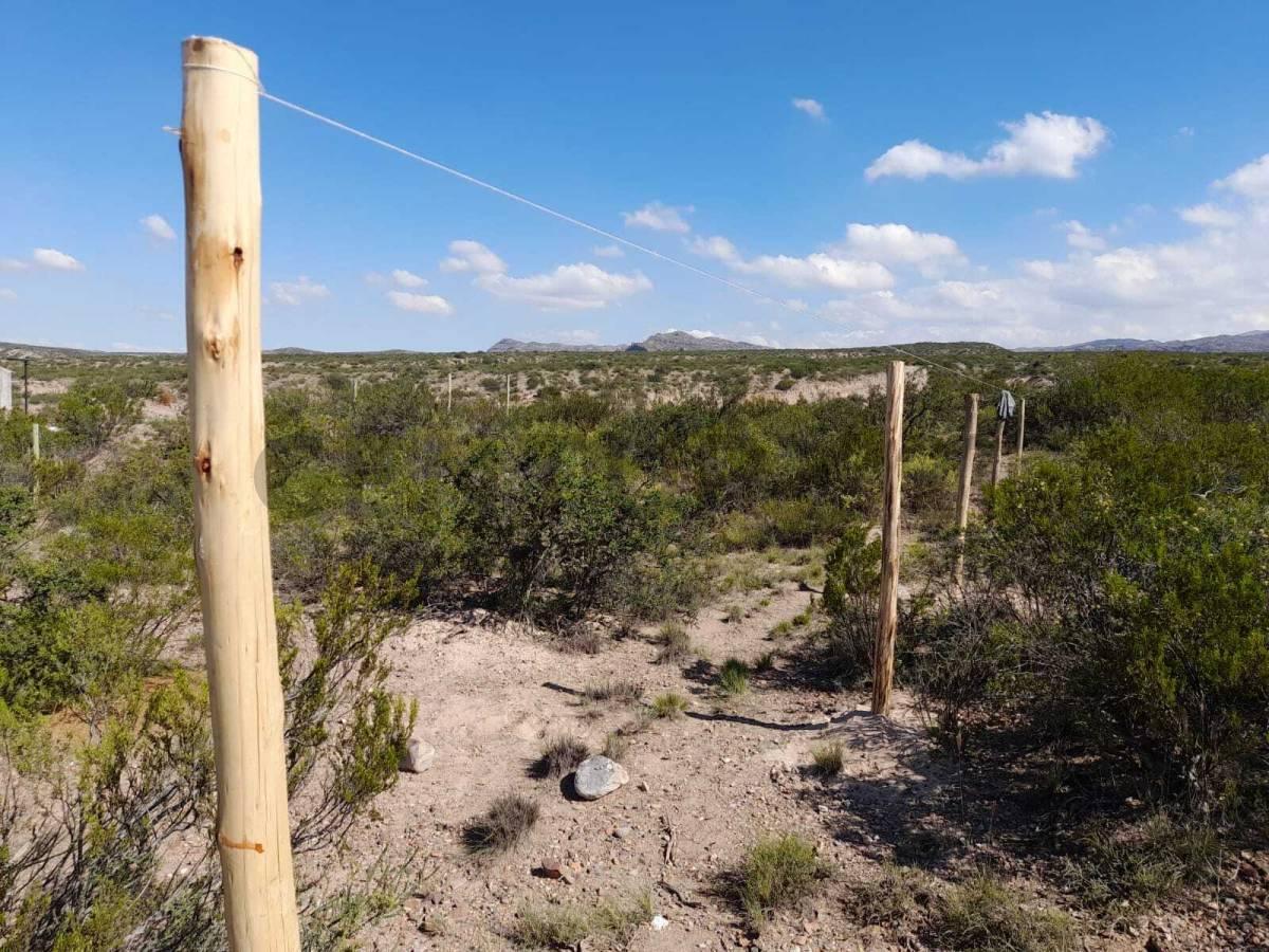 Foto de Cabaña en venta, imagen 3