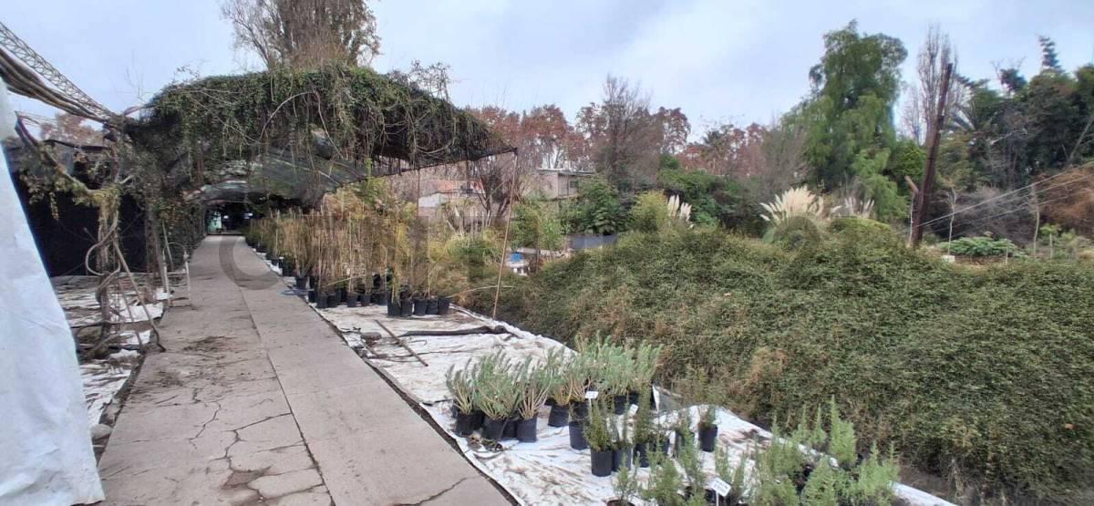Foto de VENTA DE EXCELENTE TERRENO CON INFRAESTRUCTURA PARA INVERSIONISTAS, imagen 2