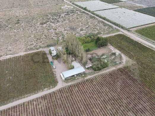 Foto de VENTA Fincas Montecaseros, San Martín, Mendoza"., imagen 4