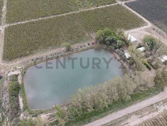 Foto de VENTA Fincas Montecaseros, San Martín, Mendoza"., imagen 2