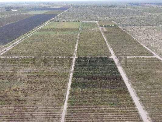 VENTA Fincas Montecaseros, San Martín, Mendoza".