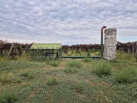 Foto de VENTA Fincas Montecaseros, San Martín, Mendoza"., imagen 3