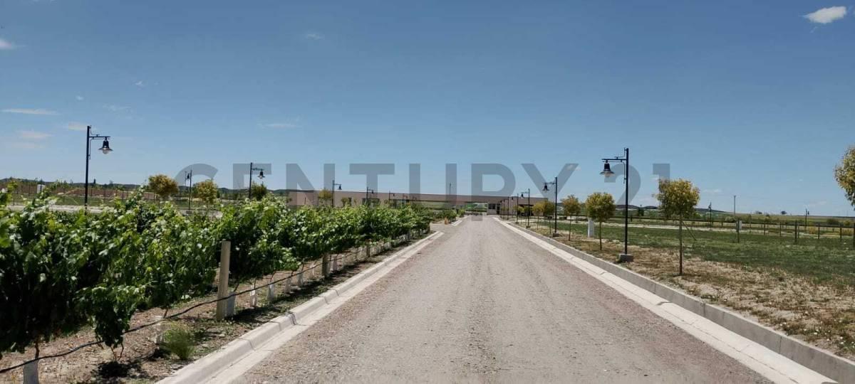 Foto de Century 21 López vende Lote en Barrio Privado Tupungato Valley Valle de, imagen 5