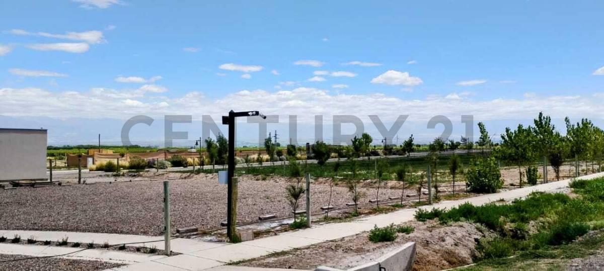 Foto de Century 21 López vende Lote en Barrio Privado Tupungato Valley Valle de, imagen 2