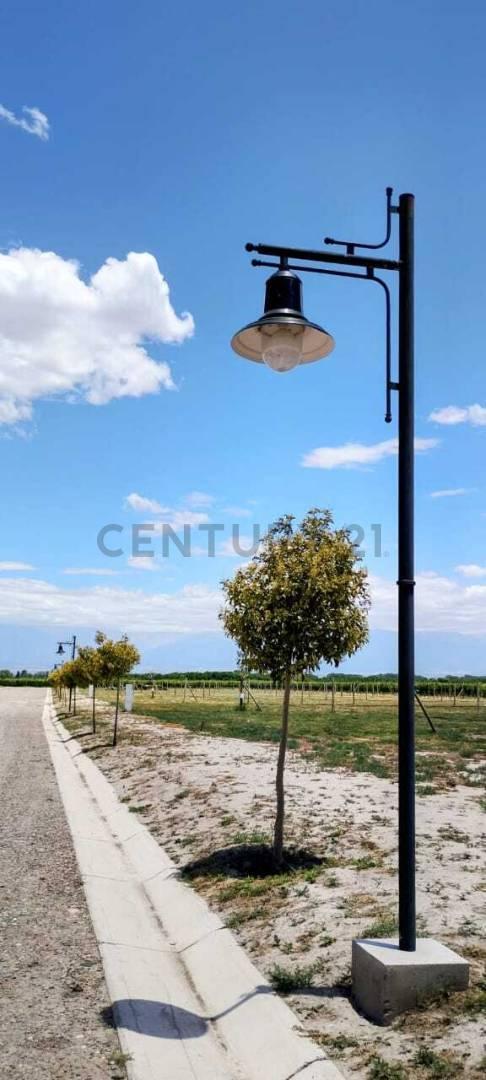 Foto de Century 21 López vende Lote en Barrio Privado Tupungato Valley Valle de, imagen 1