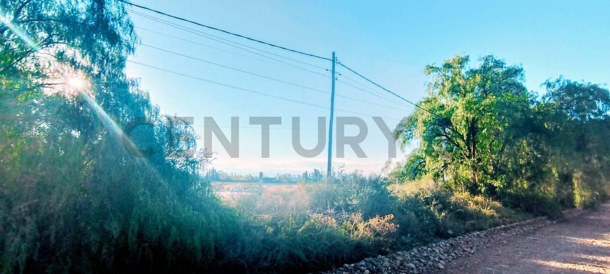 Foto de Century 21 López vende terreno en Maipú, imagen 4