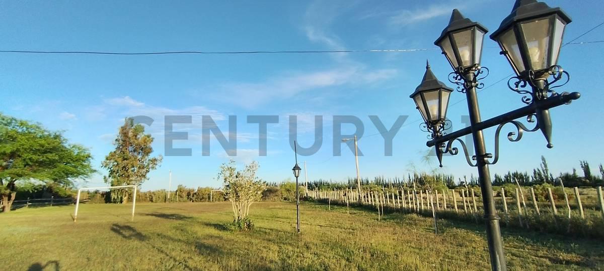 Foto de Century 21 vende Salón para eventos, Granja y Cabaña en Lavalle, Mendoza, imagen 2