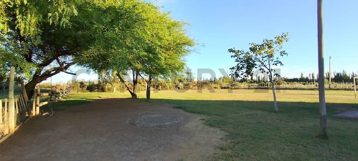 Foto de Century 21 vende Salón para eventos, Granja y Cabaña en Lavalle, Mendoza, imagen 5