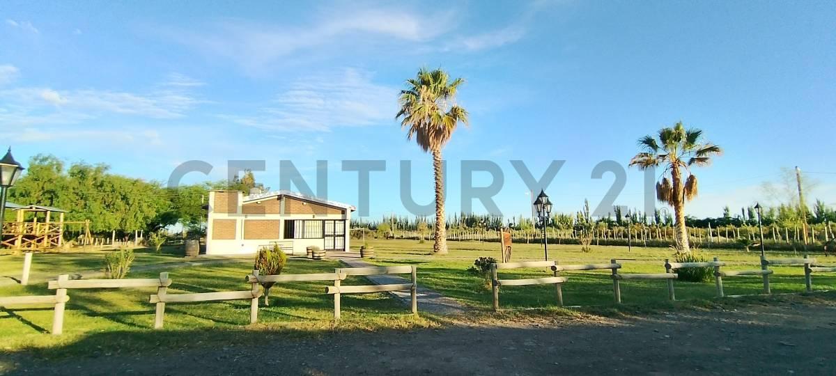 Foto de Century 21 vende Salón para eventos, Granja y Cabaña en Lavalle, Mendoza, imagen 4