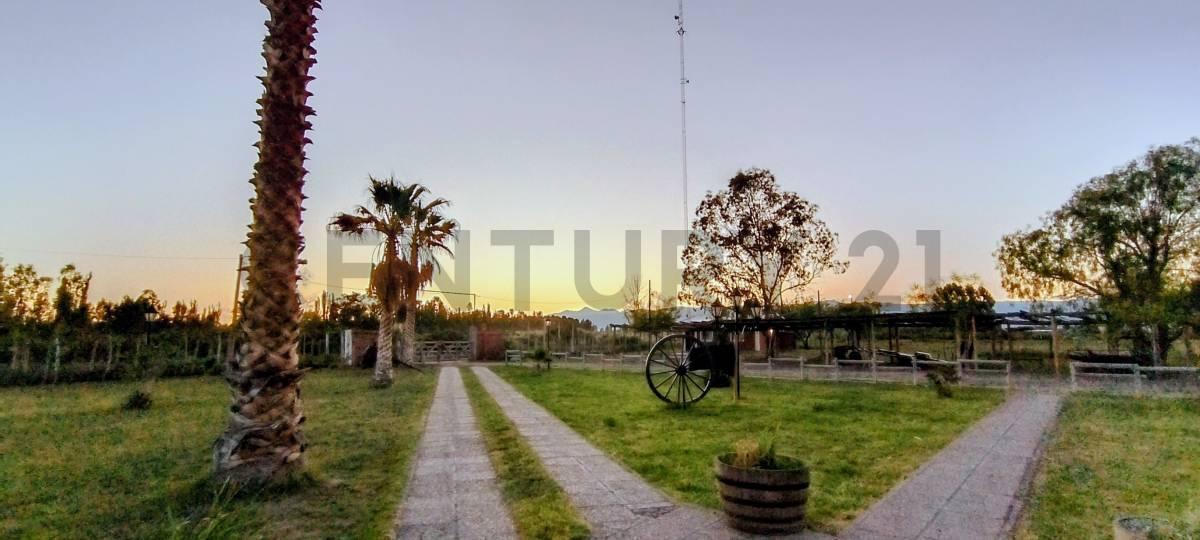 Foto de Century 21 vende Salón para eventos, Granja y Cabaña en Lavalle, Mendoza, imagen 3