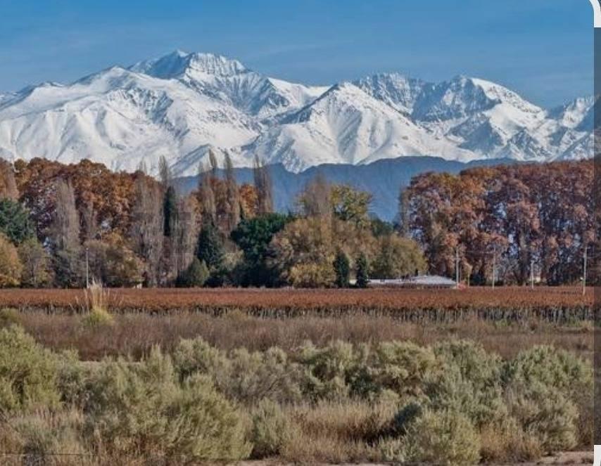 Foto de Century 21 vende 60 hectáreas de chacra en Valle de Uco, imagen 1