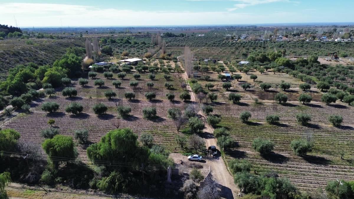 Foto de VENTA DE FINCA EN LUNLUNTA, imagen 2