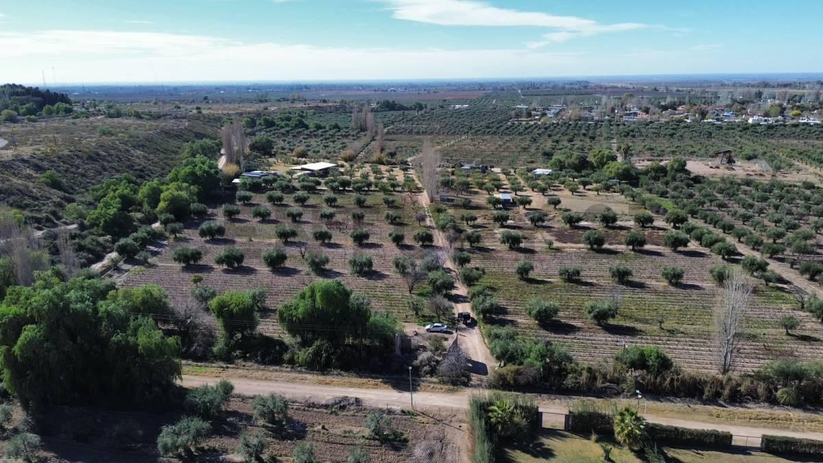 Foto de VENTA DE FINCA EN LUNLUNTA, imagen 1
