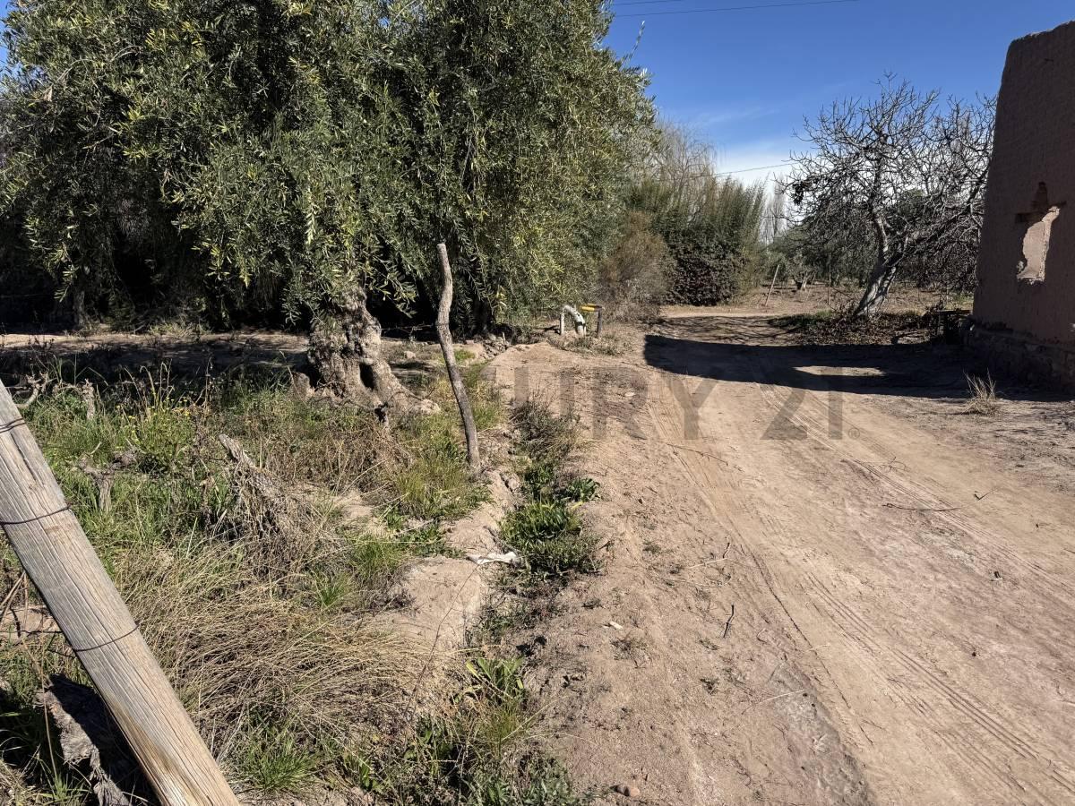 Foto de VENTA DE FINCA EN LUNLUNTA, imagen 3