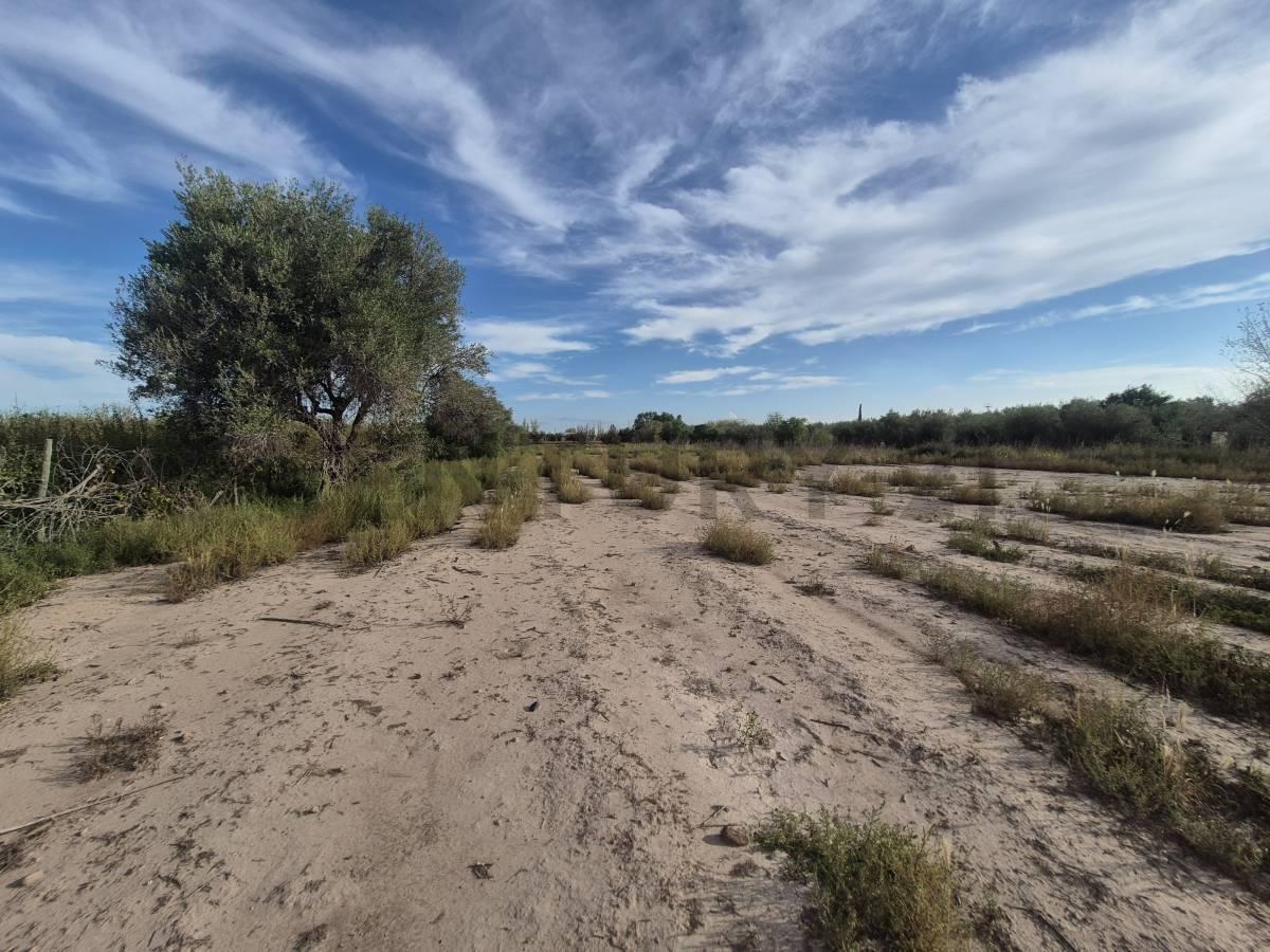 Foto de OPORTUNIDAD VENTA LOTE INDUSTRIAL, imagen 3