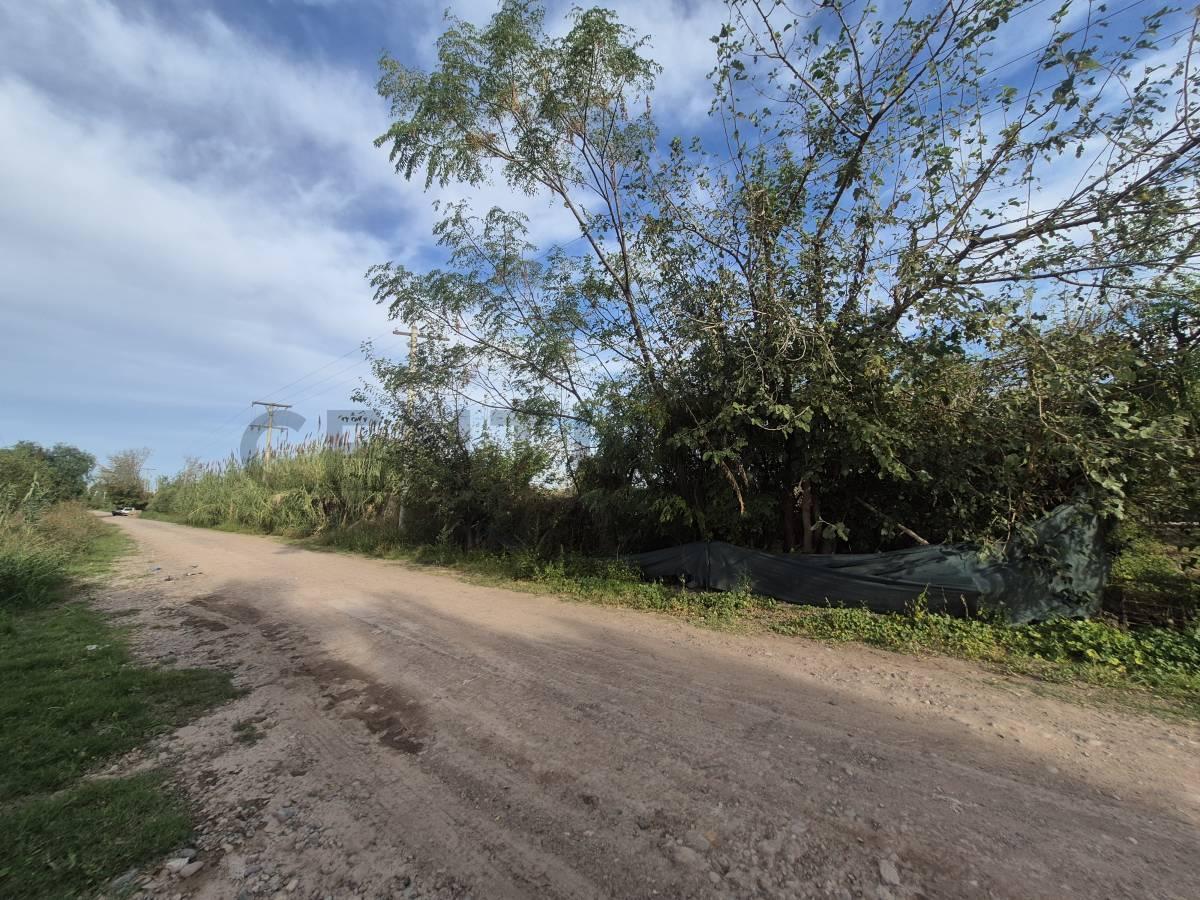 Foto de OPORTUNIDAD VENTA LOTE INDUSTRIAL, imagen 2